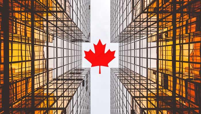 Startups de Canadá: los talentos y las competencias no conocen fronteras