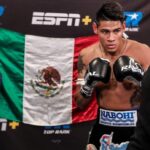 Los 5 mejores boxeadores mexicanos del momento