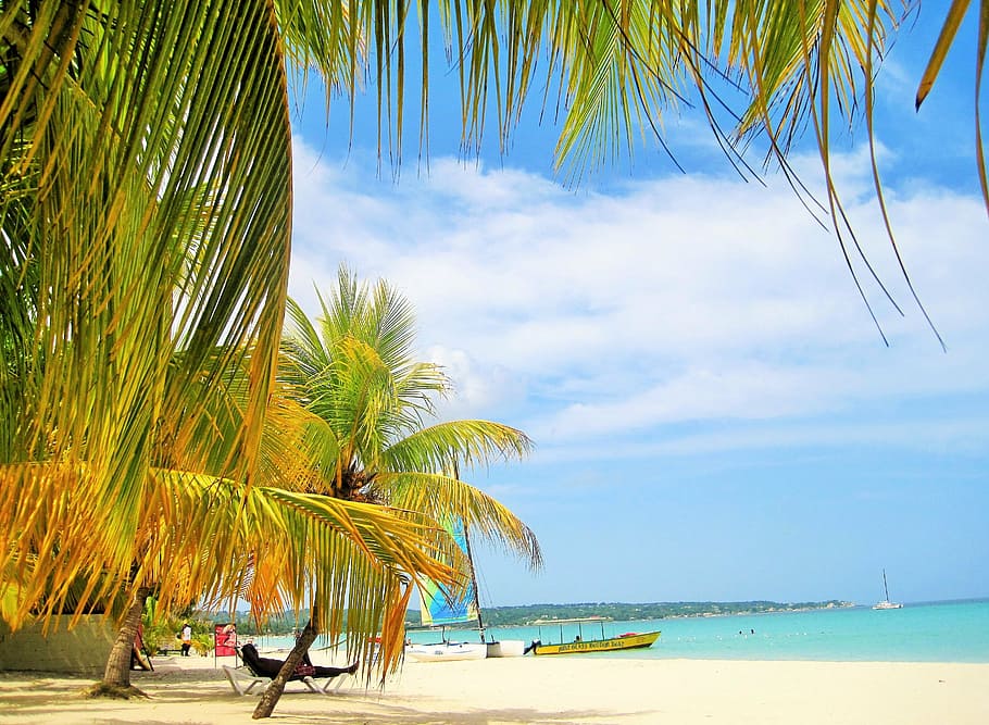The most beautiful beaches of Jamaica offer a diverse range of experiences to suit every traveler's taste