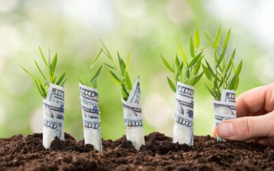 How Latin American Startups are Going Green