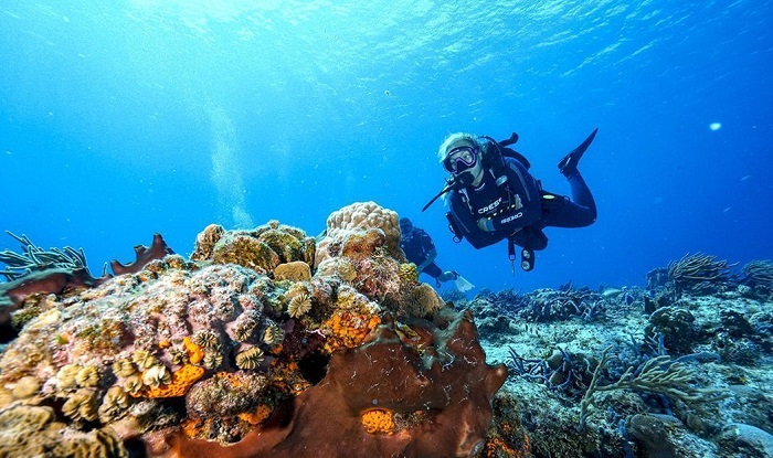 Bucear en Cozumel, en la segunda mayor barrera de coral del mundo después de la de Australia, es una experiencia inolvidable.