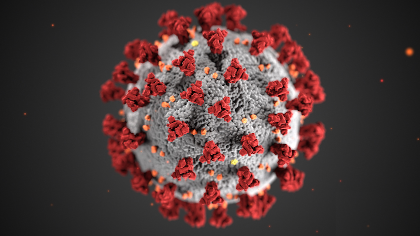 Coronavirus: Cómo las startups podrán sobrevivir a la pandemia