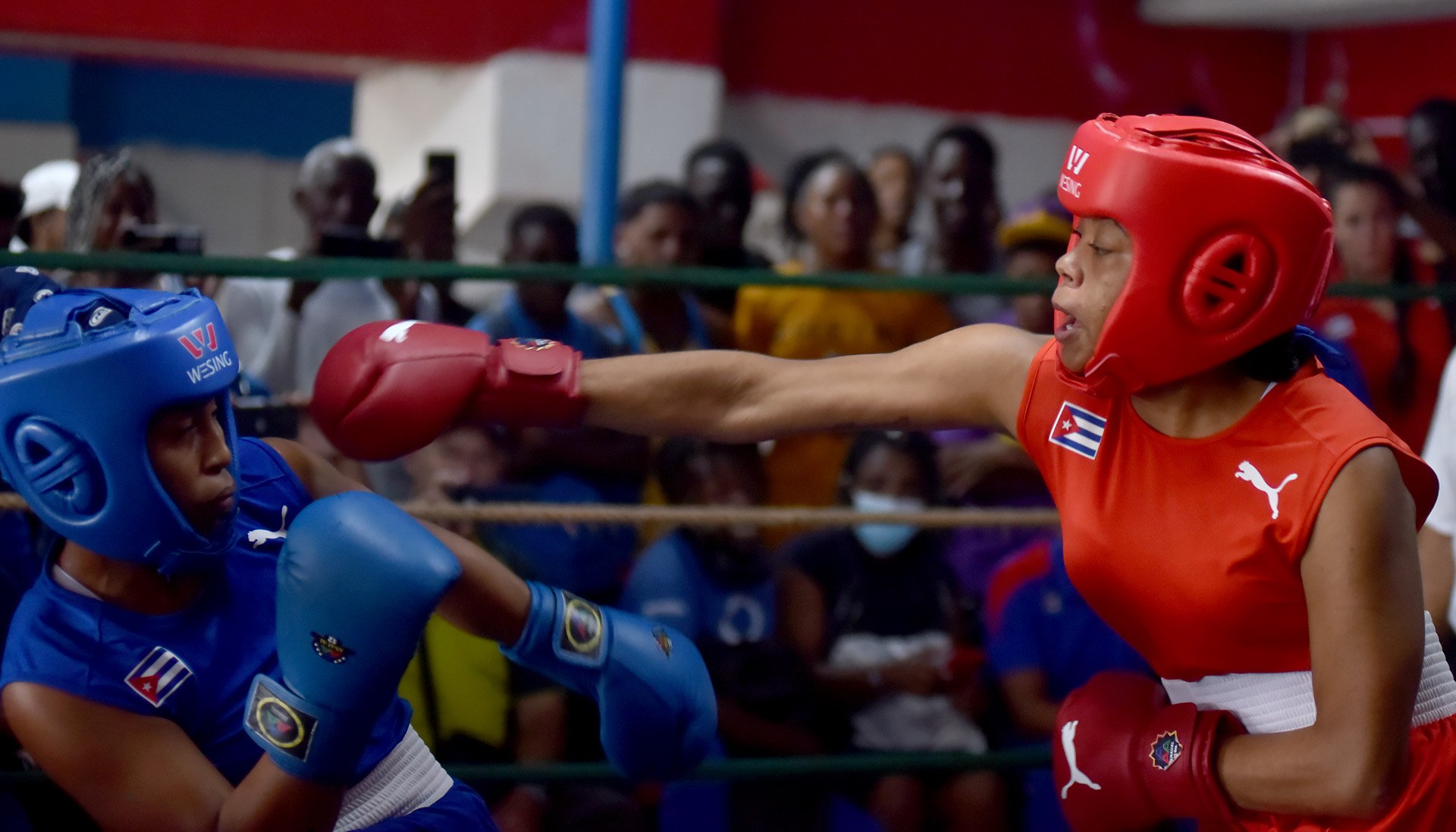 El boxeo femenino en Cuba ha dado un importante paso. Tras años de espera, las cubanas finalmente tienen la oportunidad de demostrar su talento. Foto: Omara García / Agencia cubana de noticias