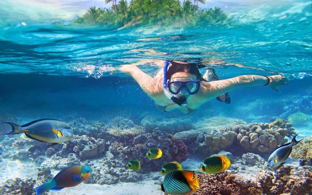 Estos son los 10 mejores destinos para bucear en el Caribe.